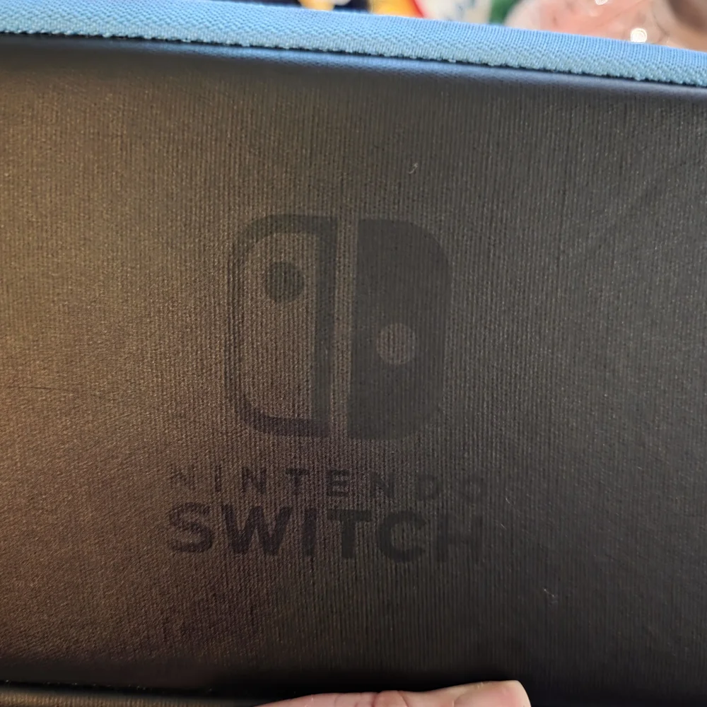 Nintendo Switch Black and Blue Carrying Case